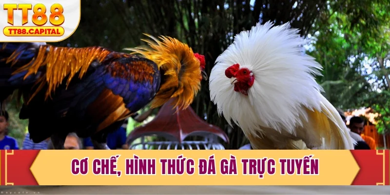 Cơ chế, hình thức đá gà trực tuyến