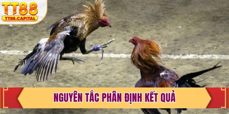 Nguyên tắc phân định kết quả